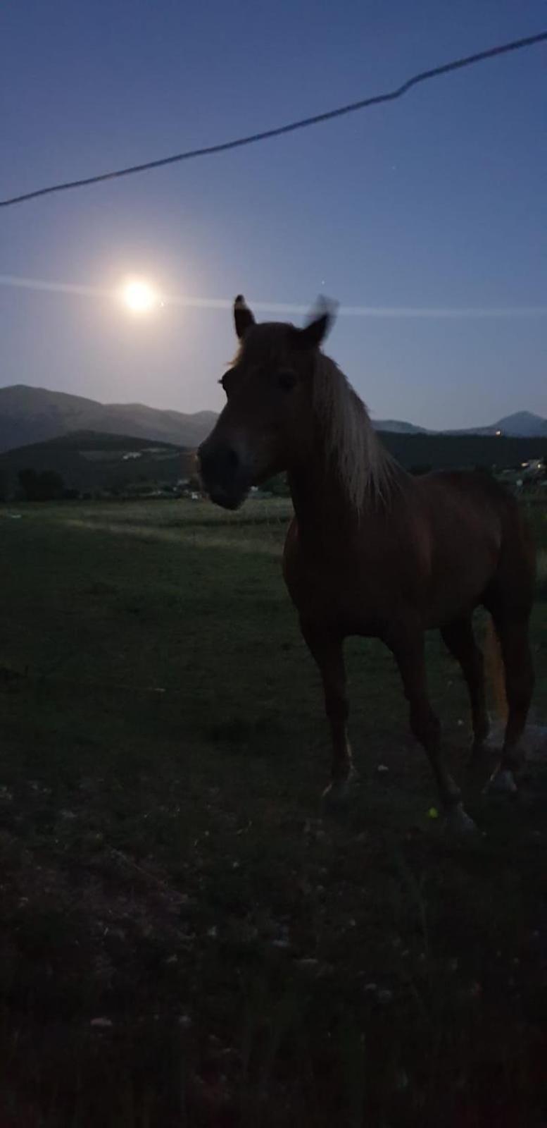 Il Casale San Martino Bed & Breakfast Norcia Dış mekan fotoğraf